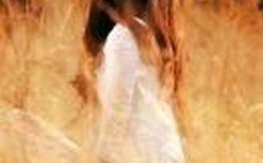 蒋伟文亚洲鸟王